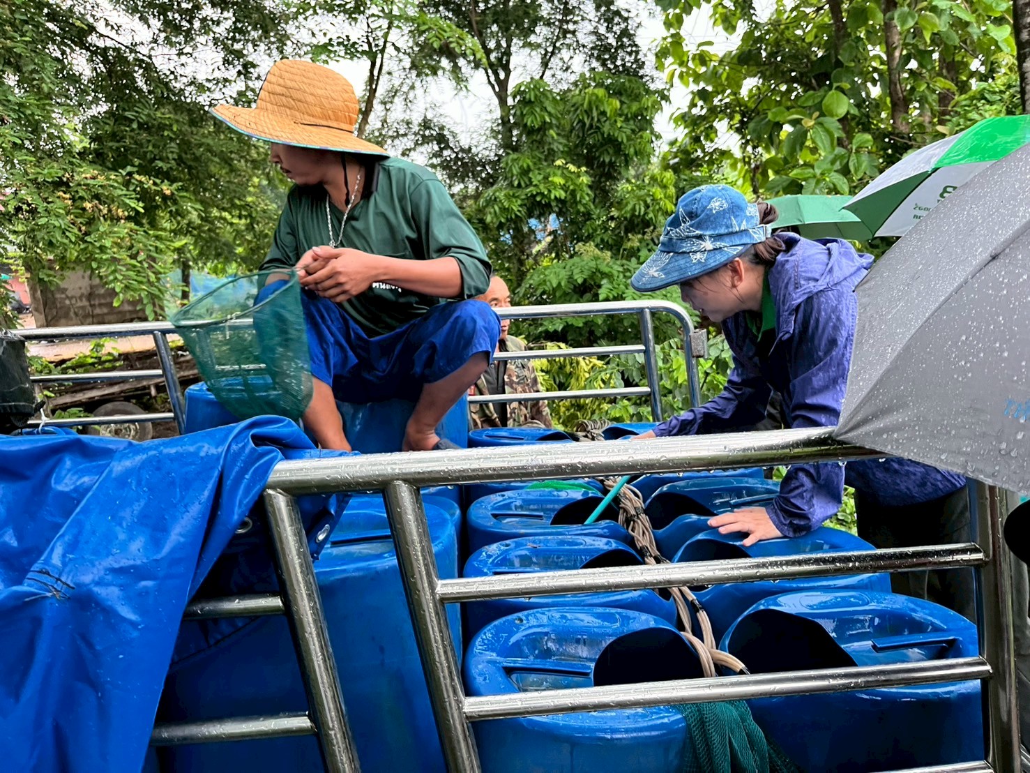 โครงการบริหารจัดการทรัพยากรประมง กิจกรรมเพิ่มผลผลิตสัตว์น้ำในแหล่งน้ำชุมชน เพื่อเพิ่มรายได้และลดค่าครองชีพของประชาชน ประจำปีงบประมาณ พ.ศ.2568