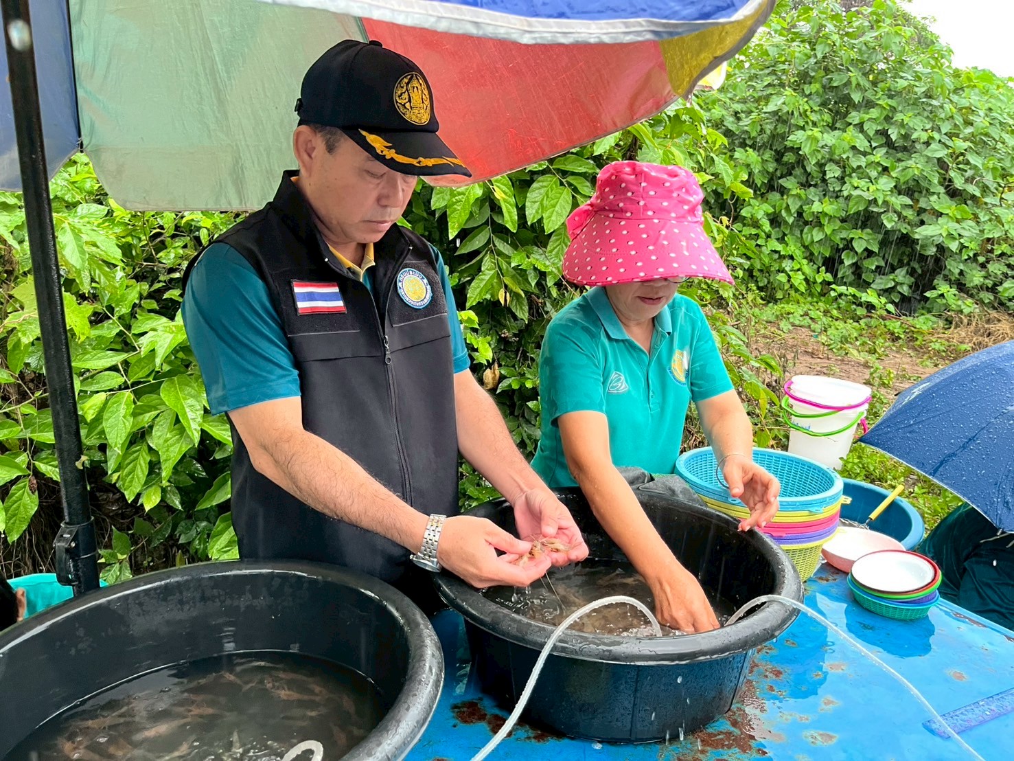 โครงการบริหารจัดการทรัพยากรประมง กิจกรรมเพิ่มผลผลิตสัตว์น้ำในแหล่งน้ำชุมชน เพื่อเพิ่มรายได้และลดค่าครองชีพของประชาชน ประจำปีงบประมาณ พ.ศ.2568