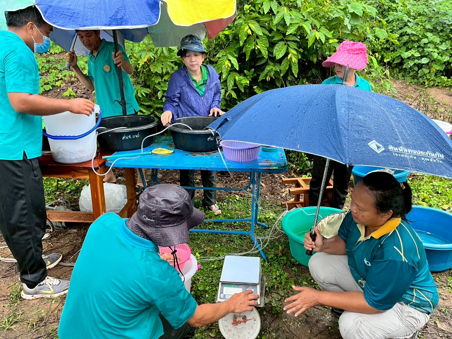 โครงการบริหารจัดการทรัพยากรประมง กิจกรรมเพิ่มผลผลิตสัตว์น้ำในแหล่งน้ำชุมชน เพื่อเพิ่มรายได้และลดค่าครองชีพของประชาชน ประจำปีงบประมาณ พ.ศ.2568