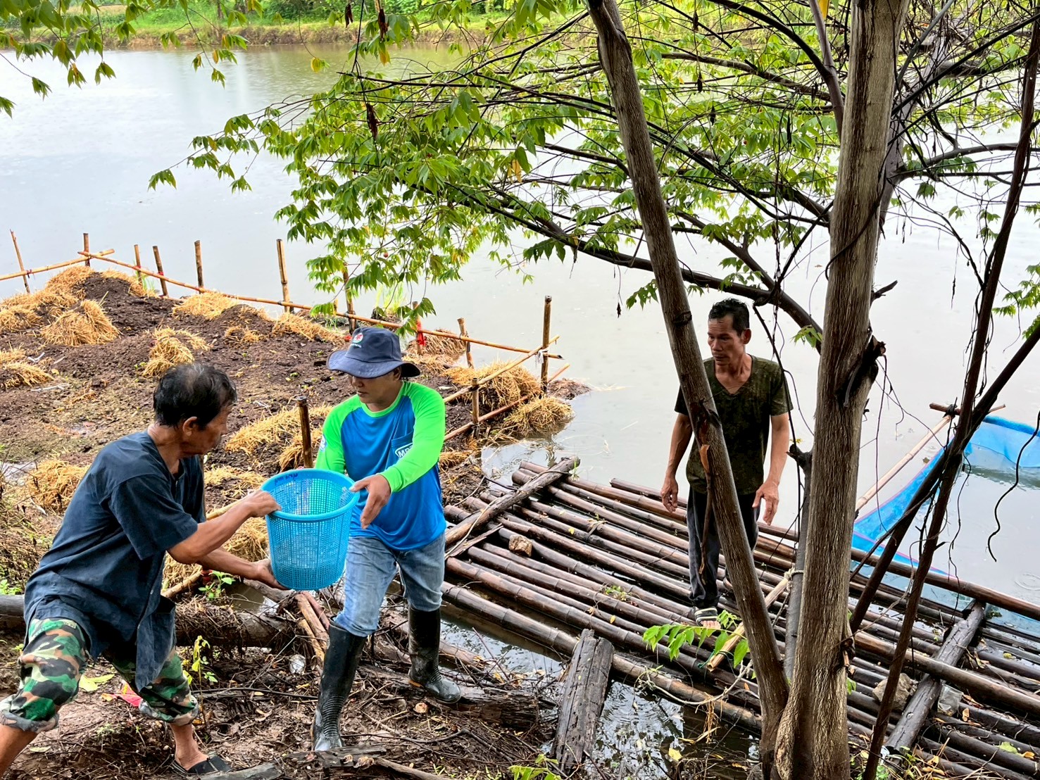 โครงการบริหารจัดการทรัพยากรประมง กิจกรรมเพิ่มผลผลิตสัตว์น้ำในแหล่งน้ำชุมชน เพื่อเพิ่มรายได้และลดค่าครองชีพของประชาชน ประจำปีงบประมาณ พ.ศ.2568