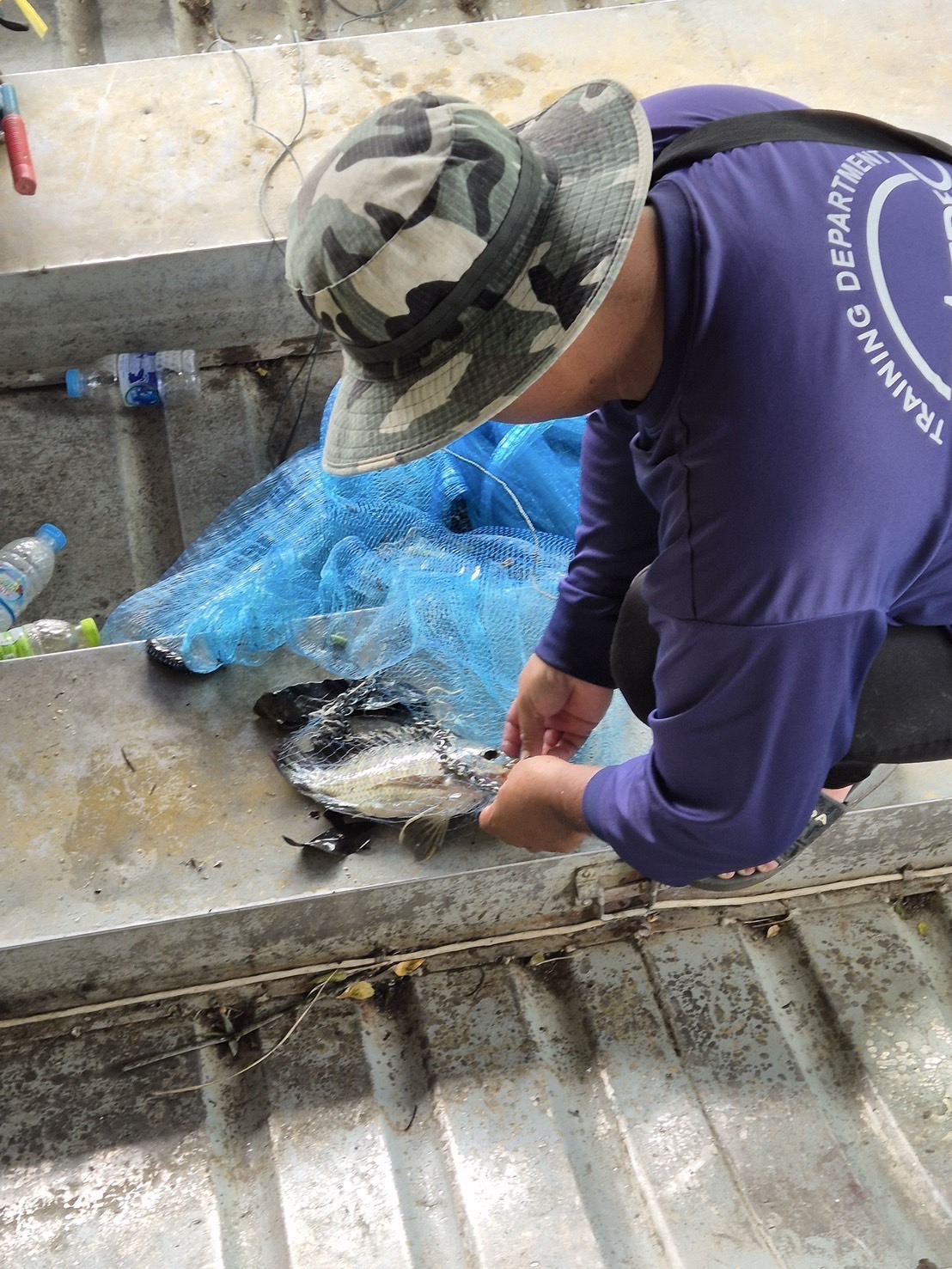 (อ.บางกรวย) การสำรวจปลาหมอคางดำ ตามแผนการแก้ไขปัญหาการแพร่ระบาดของปลาหมอคางดำจังหวัดนนทบุรี
