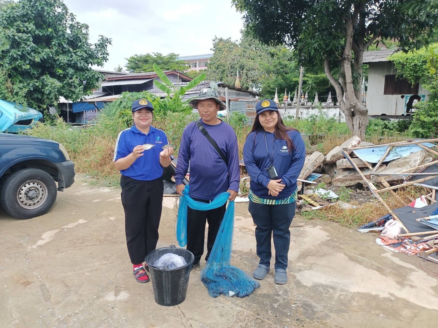 (อ.บางกรวย) การสำรวจปลาหมอคางดำ ตามแผนการแก้ไขปัญหาการแพร่ระบาดของปลาหมอคางดำจังหวัดนนทบุรี..คลิก