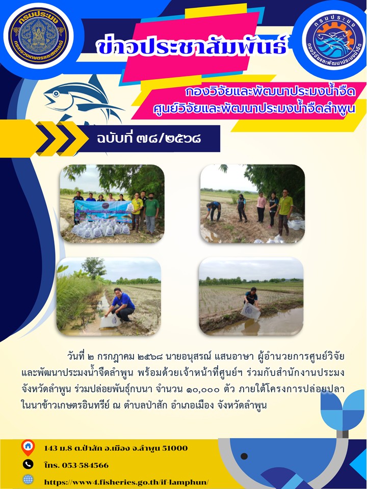 วันที่ 2 กรกฎาคม 2568 นายอนุสรณ์ แสนอาษา ผู้อำนวยการศูนย์วิจัยและพัฒนาประมงน้ำจืดลำพูน พร้อมด้วยเจ้าหน้าที่ศูนย์ฯ ร่วมกับสำนักงานประมงจังหวัดลำพูน ร่วมปล่อยพันธุ์กบนา จำนวน 10,000 ตัว ภายใต้โครงการปล่อยปลาในนาข้าวเกษตรอินทรีย์ ณ ตำบลป่าสัก อำเภอเมือง จังหวัดลำพูน..คลิก