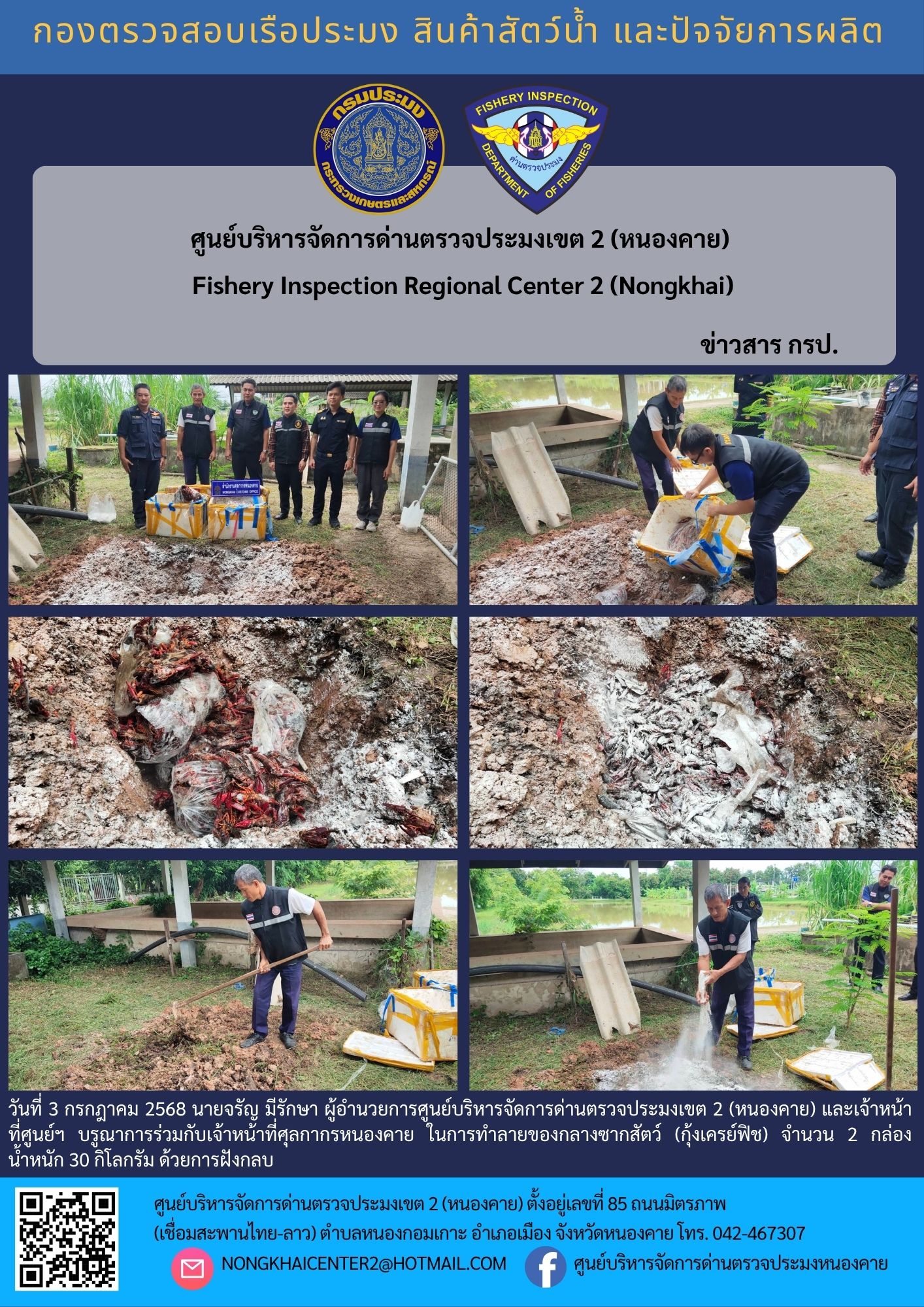 ทำลายของกลางซากสัตว์ (กุ้งเครย์ฟิช) 