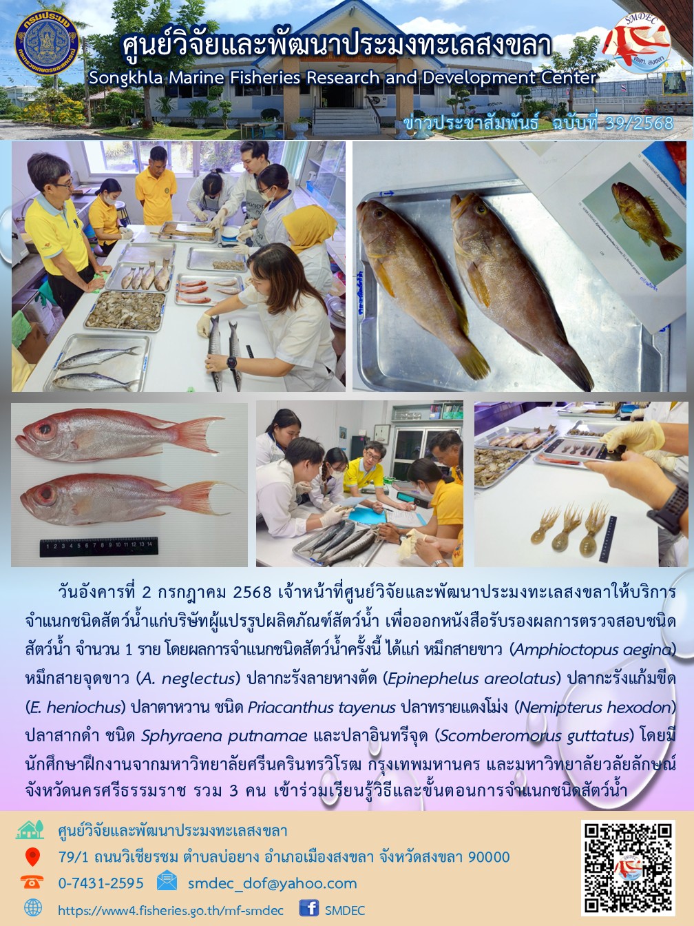  วันอังคารที่ 2 กรกฎาคม 2568 เจ้าหน้าที่ศูนย์วิจัยและพัฒนาประมงทะเลสงขลาให้บริการจำแนกชนิดสัตว์น้ำแก่บริษัทผู้แปรรูปผลิตภัณฑ์สัตว์น้ำ เพื่อออกหนังสือรับรองผลการตรวจสอบชนิดสัตว์น้ำ จำนวน 1 ราย