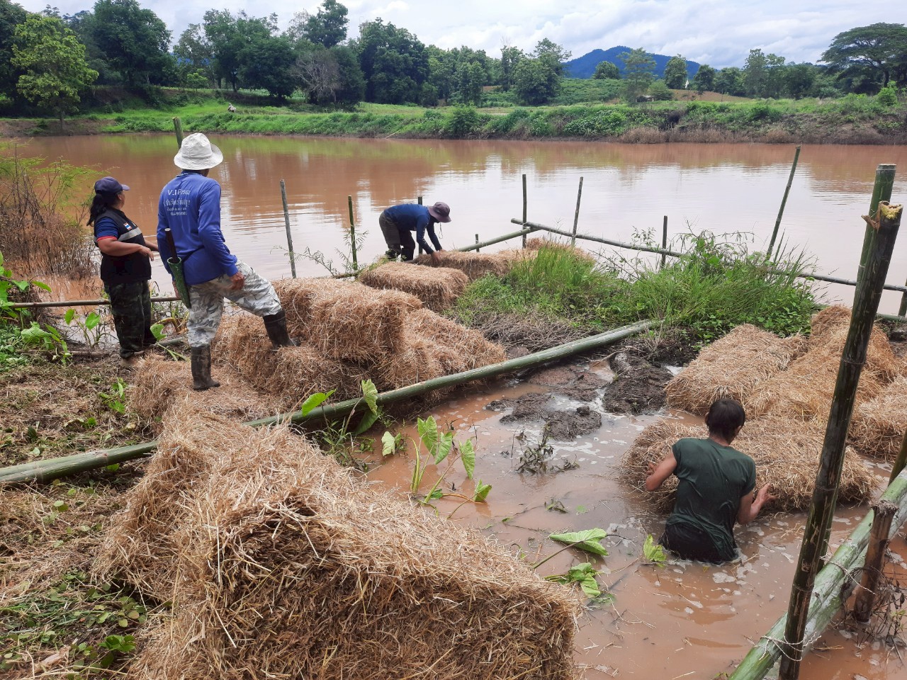 โครงการบริหารจัดการทรัพยากรประมงเพิ่มผลผลิตในแหล่งน้ำชุมชน เพื่อสร้างรายได้ และลดค่าครองชีพของประชาชน ปี พ.ศ.2568..คลิก