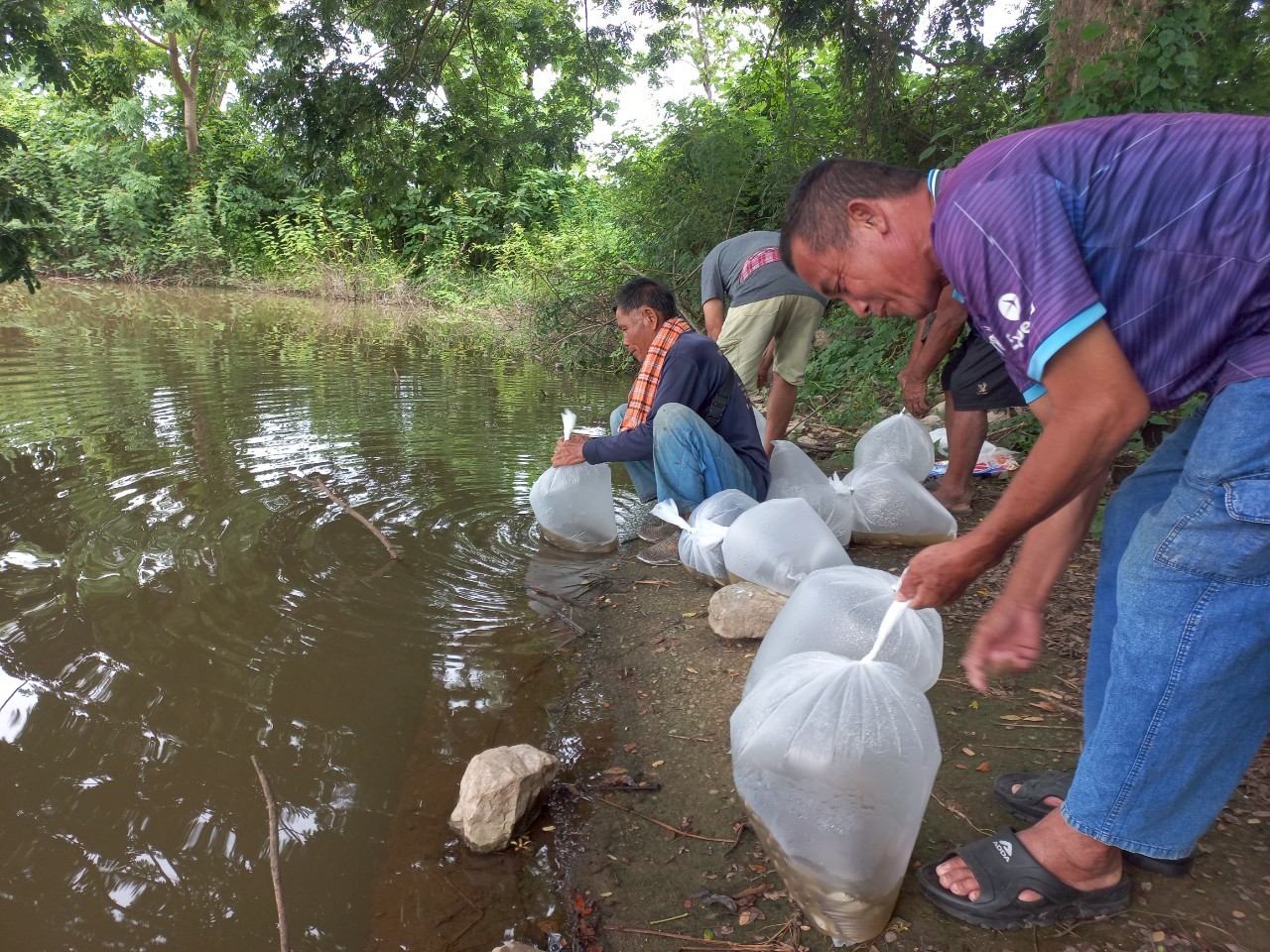 โครงการบริหารจัดการทรัพยากรประมงเพิ่มผลผลิตในแหล่งน้ำชุมชน เพื่อสร้างรายได้ และลดค่าครองชีพของประชาชน ปี พ.ศ.2568