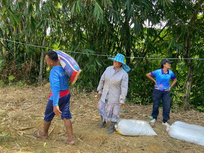 ดำเนินการสร้างอาหารธรรมชาติ ในแหล่งน้ำห้วยตลิ่งชัน อ.ศรีบรรพต จ.พัทลุง