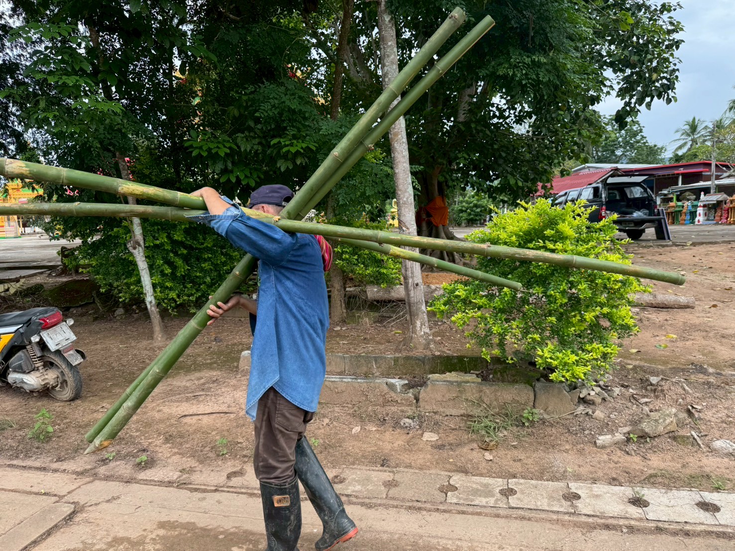 โครงการจัดการระบบนิเวศปลาหน้าวัด