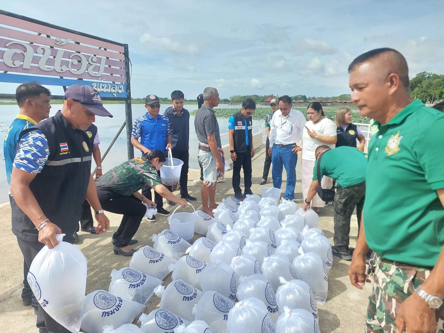 กลุ่มบริหารจัดการด้านการประมง และประมงอำเภอควนขนุน ดำเนินกิจกรรมปล่อยพันธุ์ปลาดุกอุย จำนวน 30,000 ตัว  ตามโครงการอนุรักษ์และเพิ่มผลผลิตปลาดุกอุยทะเลน้อย  เพื่อส่งเสริมเศรษฐกิจชุมชน ณ ทะเลน้อย  ท้องที่ หมู่ที่ 2 ตำบลพนางตุง อำเภอควนขนุน จังหวัดพัทลุง..คลิก