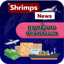 การส่งออกกุ้งของอินเดียในปี 2568 ลดลง 11% โดยสหภาพยุโรปเป็นตลาดหลักเพียงแห่งเดียวใน 5 อันดับแรกที่แสดงการเติบโตอย่างมีนัยสำคัญ