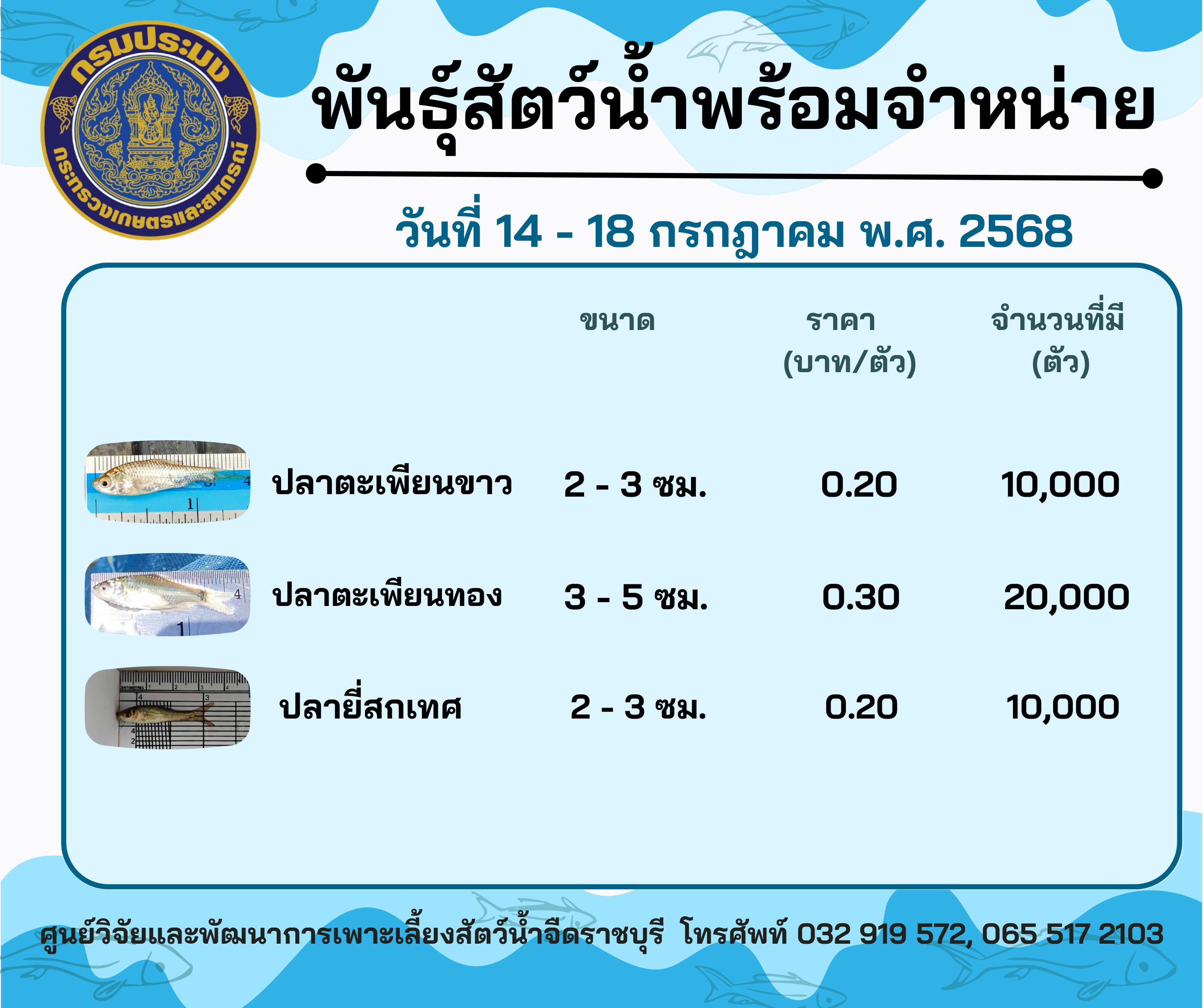ลูกพันธุ์สัตว์น้ำพร้อมจำหน่ายสัปดาห์นี้ วันที่ 14 - 18 กรกฎาคม พ.ศ. 2568..คลิก