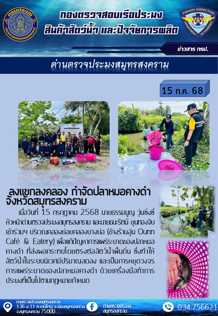 ลงแขกลงคลอง กำจัดปลาหมอคางดำ จังหวัดสมุทรสงคราม..คลิก
