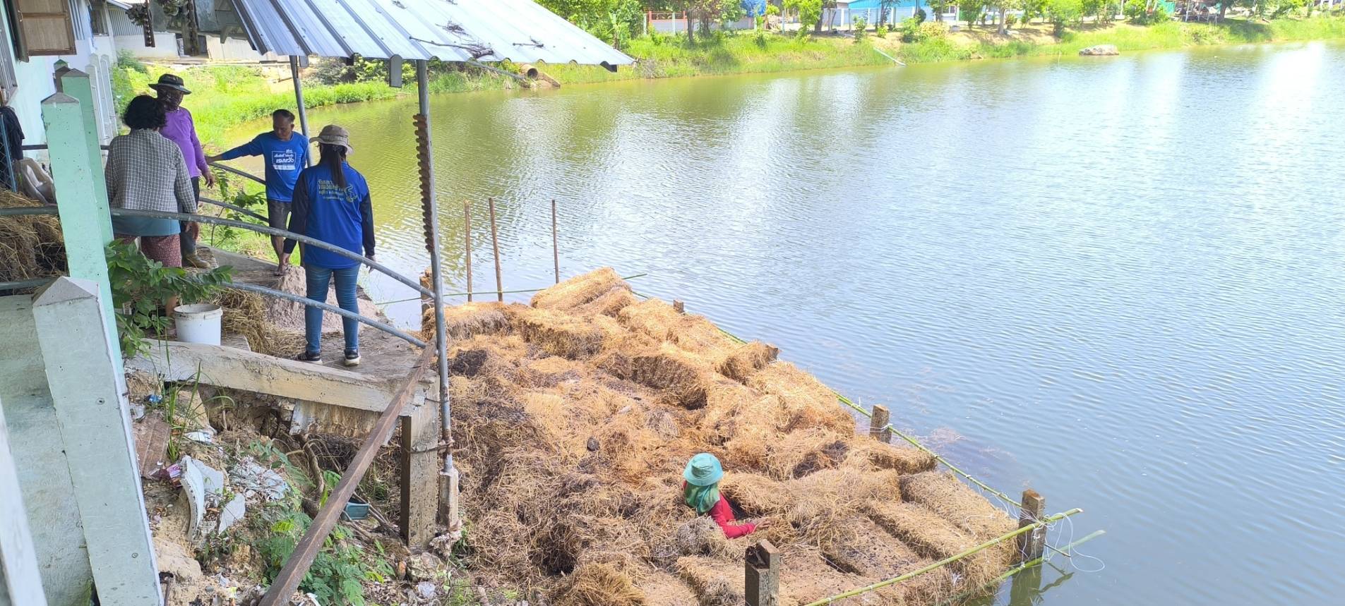 สร้างอาหารธรรมชาติ แหล่งน้ำหนองเหล็ก