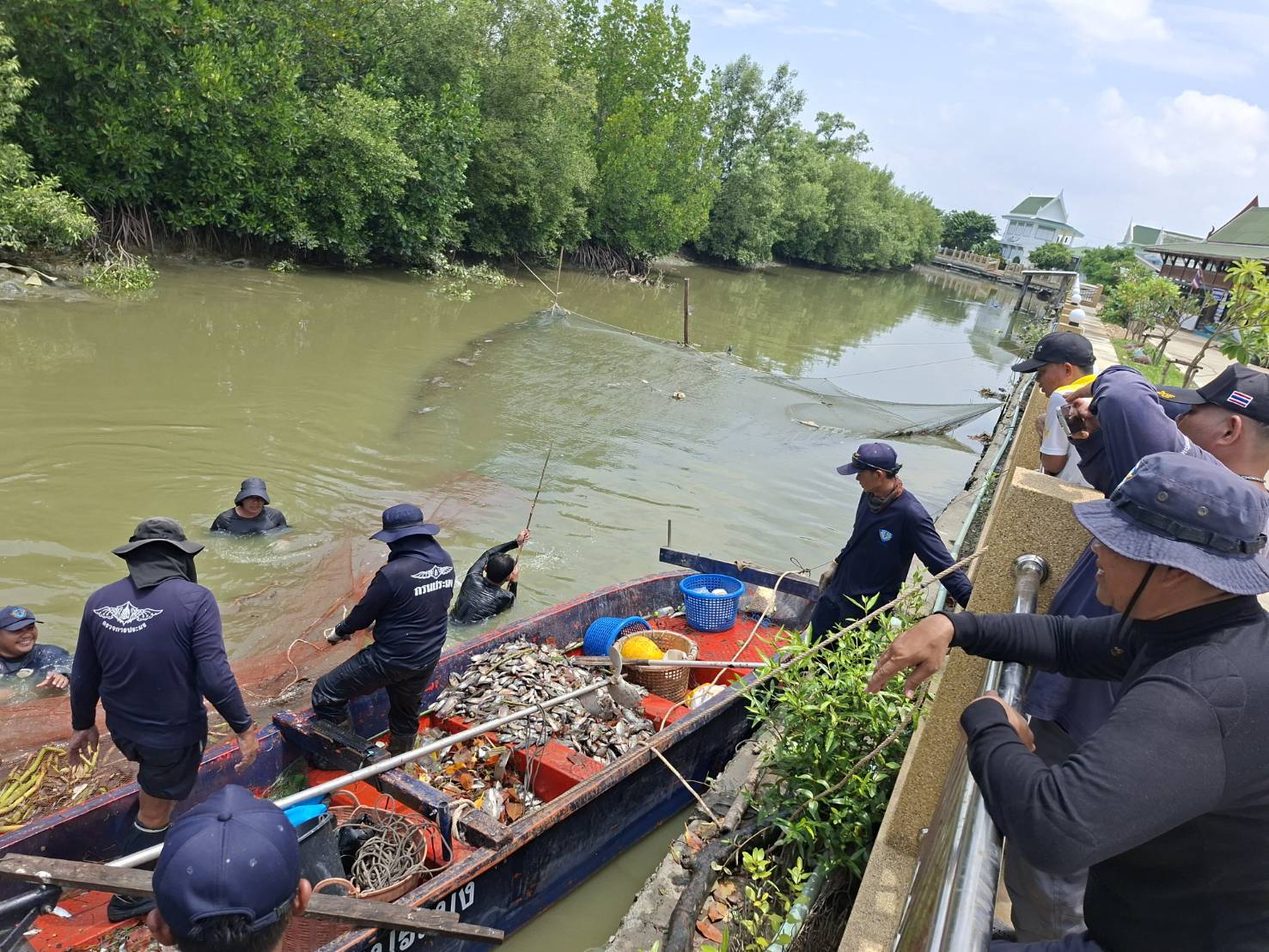 ร่วมกิจกรรมลงแขกลงคลอง ตัดวงจรการแพร่ระบาดของปลาหมอคางดำ ณ วัดวิสุทธิวราวาส