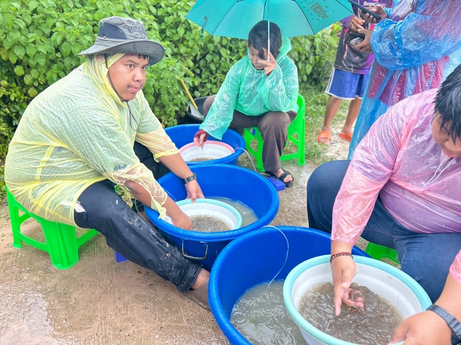 ปล่อยพันธุ์สัตว์น้ำ(กุ้งก้ามกราม) ในโครงการบริหารจัดการทรัพยากรประมงกิจกรรมบริหารจัดการทรัพยากรประมงน้ำจืดการเพิ่มผลผลิตสัตว์น้ำในแหล่งน้ำชุมชน เพื่อเพิ่มรายได้และลดค่าครองชีพของประชาชนประจำปีงบประมาณ 2568 รวมทั้งสิ้น 15 แหล่งน้ำ
