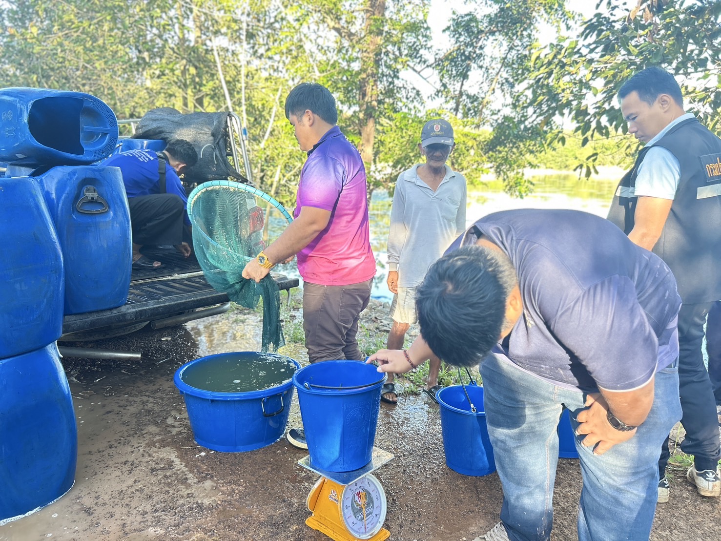 ปล่อยพันธุ์สัตว์น้ำ(กุ้งก้ามกราม) ในโครงการบริหารจัดการทรัพยากรประมงกิจกรรมบริหารจัดการทรัพยากรประมงน้ำจืดการเพิ่มผลผลิตสัตว์น้ำในแหล่งน้ำชุมชน เพื่อเพิ่มรายได้และลดค่าครองชีพของประชาชนประจำปีงบประมาณ 2568 รวมทั้งสิ้น 15 แหล่งน้ำ