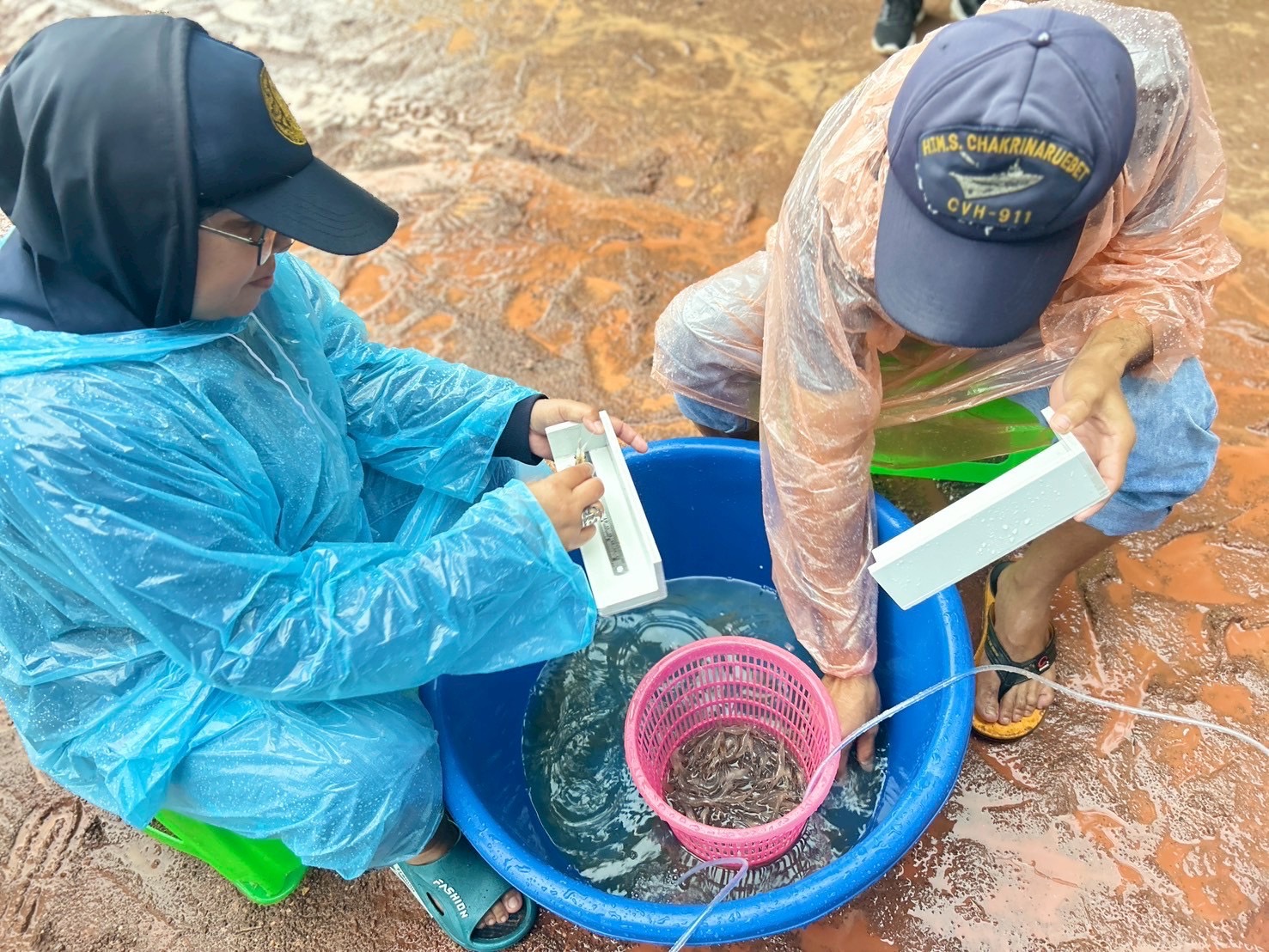 ปล่อยพันธุ์สัตว์น้ำ(กุ้งก้ามกราม) ในโครงการบริหารจัดการทรัพยากรประมงกิจกรรมบริหารจัดการทรัพยากรประมงน้ำจืดการเพิ่มผลผลิตสัตว์น้ำในแหล่งน้ำชุมชน เพื่อเพิ่มรายได้และลดค่าครองชีพของประชาชนประจำปีงบประมาณ 2568 รวมทั้งสิ้น 15 แหล่งน้ำ