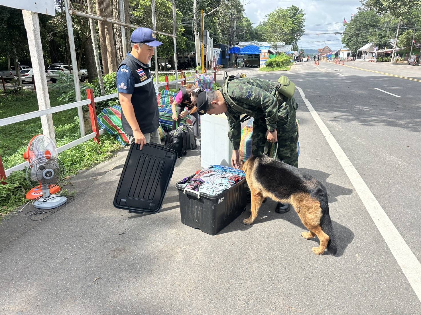 ผลการปฏิบัติงานด่านตรวจประมงสุรินทร์