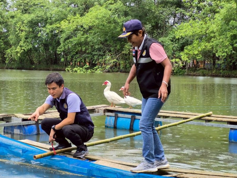 ติดตามตรวจเยี่ยมการอนุบาลลูกปลายี่สกเทศ ที่ได้จากการเพาะพันธุ์ด้วยชุดเพาะฟักเคลื่อนที่..คลิก