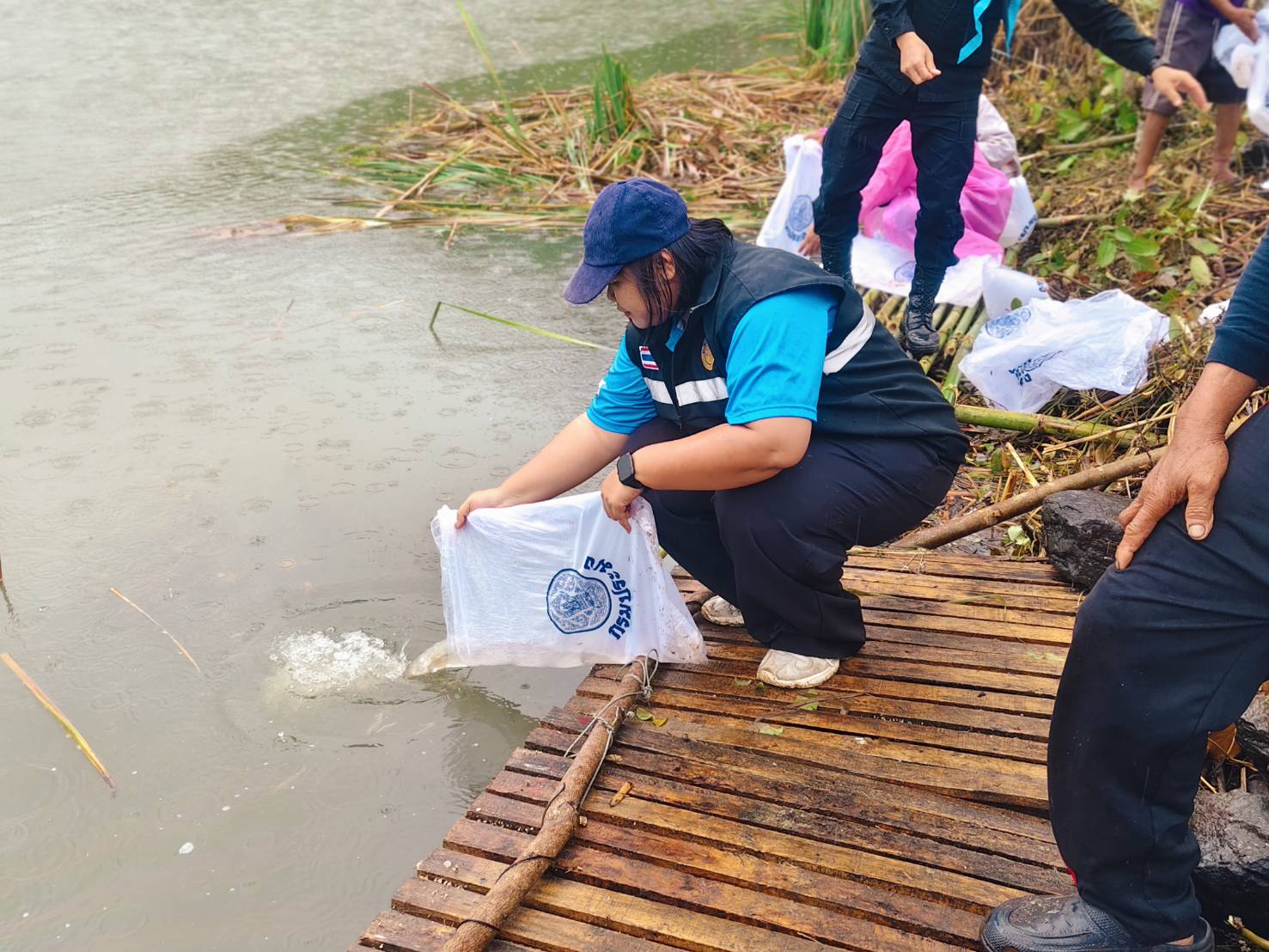 โครงการปล่อยพันธุ์ปลาเพื่อรักษาระบบนิเวศในอ่างเก็บน้ำของชลประทาน