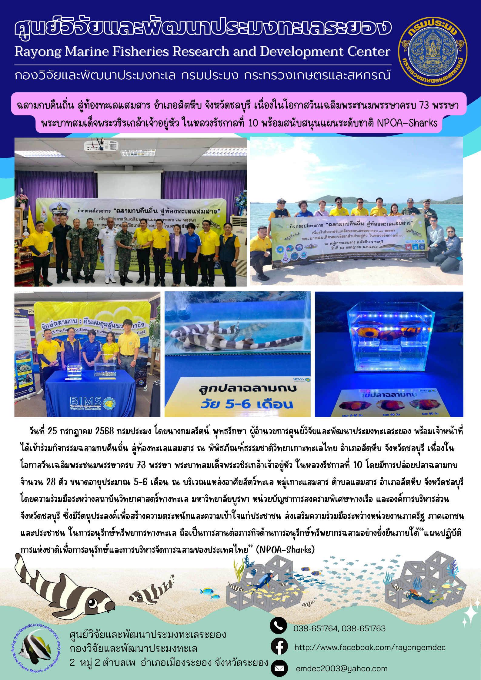 กิจกรรมปล่อยฉลามกบคืนถิ่น สู่ท้องทะเลแสมสาร