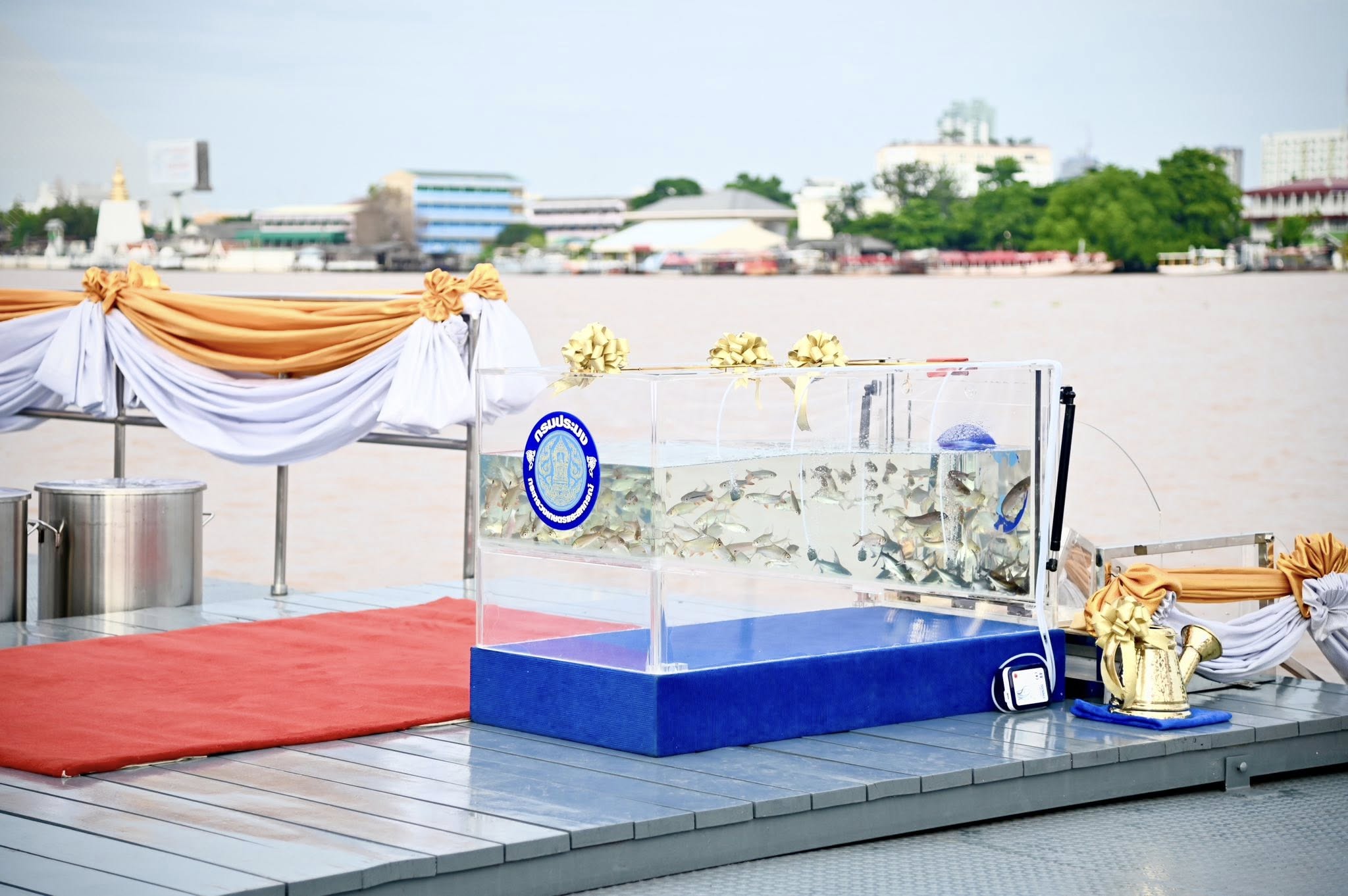 รูป ประกอบบทความ2