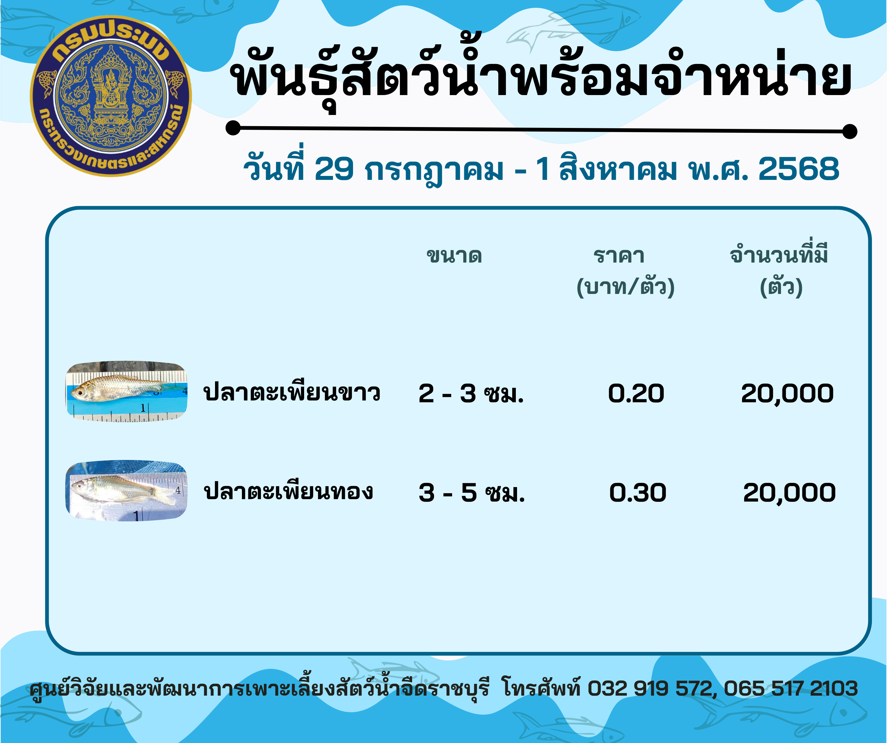 ลูกพันธุ์สัตว์น้ำพร้อมจำหน่ายสัปดาห์นี้ วันที่ 29 กรกฎาคม - 1 สิงหาคม พ.ศ. 2568..คลิก