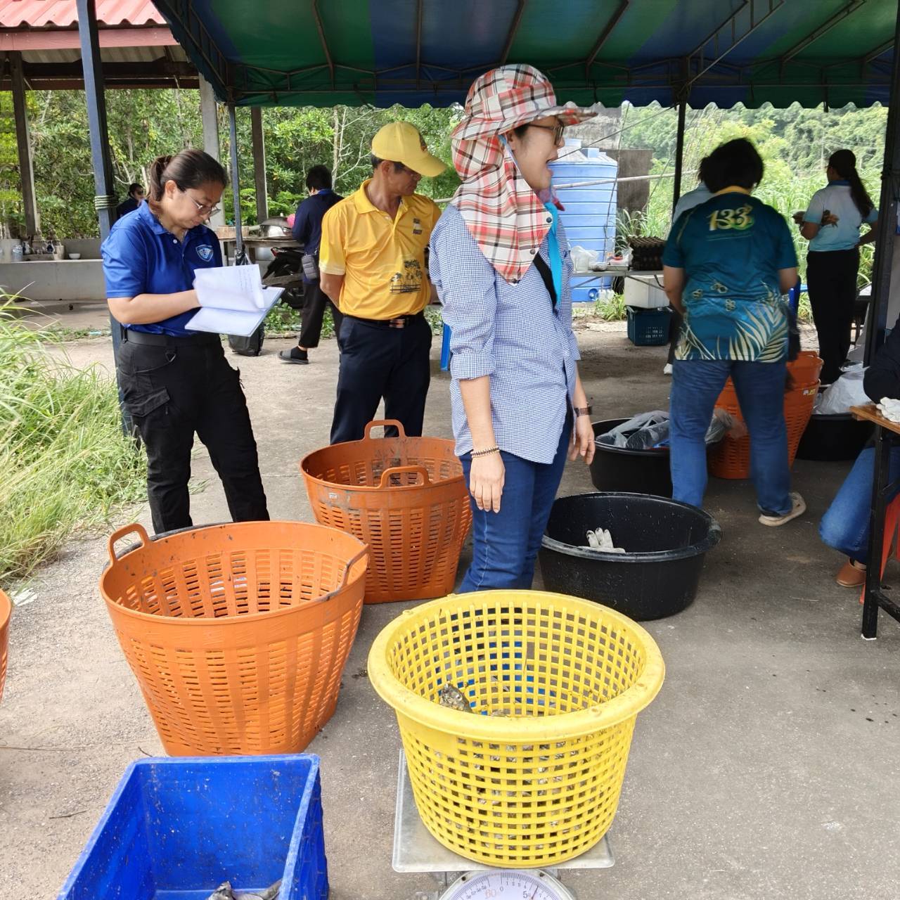 กิจกรรมลงแขกลงคลองการควบคุมและกำจัดปลาหมอคางดำ..คลิก