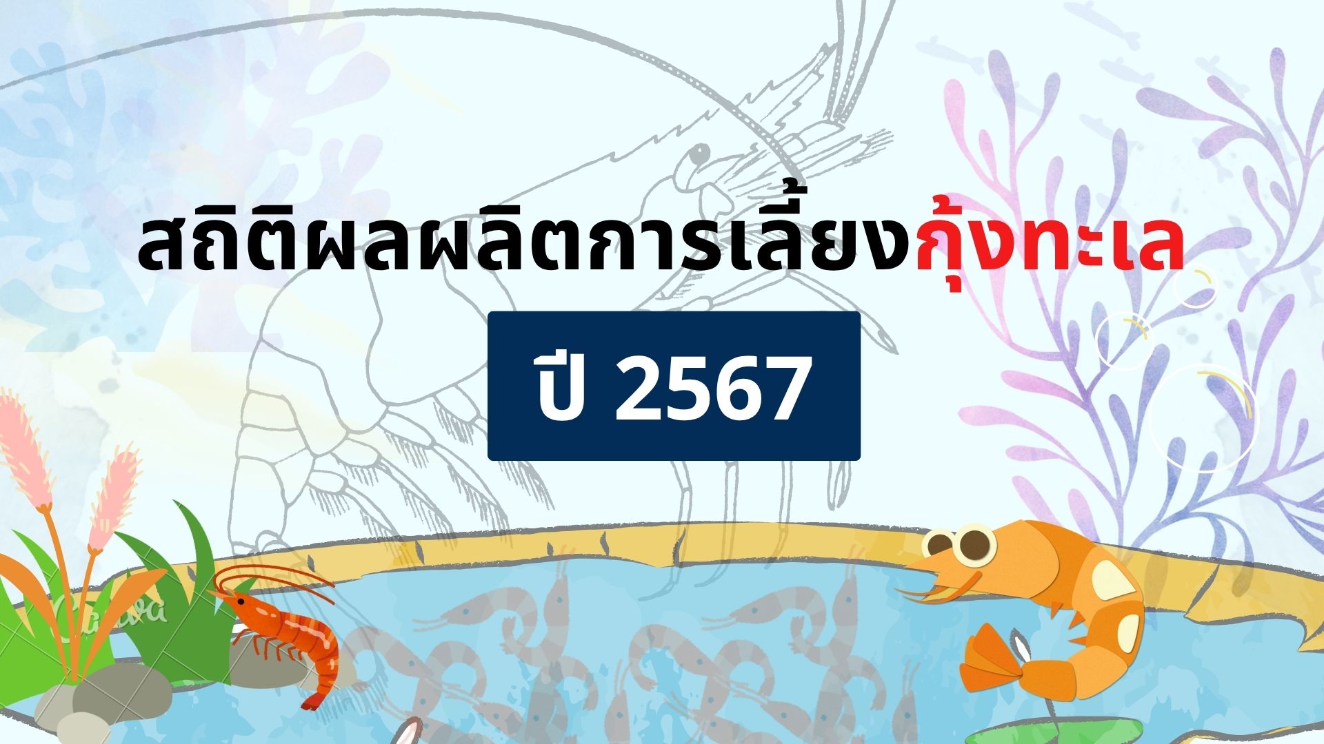 สถิติผลผลิตการเลี้ยงกุ้งทะเล ปี 2567
