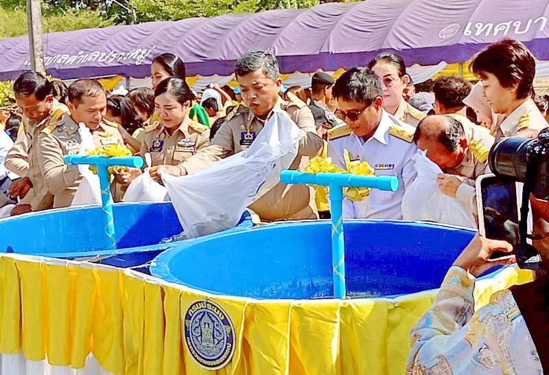 ร่วมปล่อยพันธุ์ปลากินพืช ลงสู่คลองภู่ อ.เมือง จ.พัทลุง..คลิก