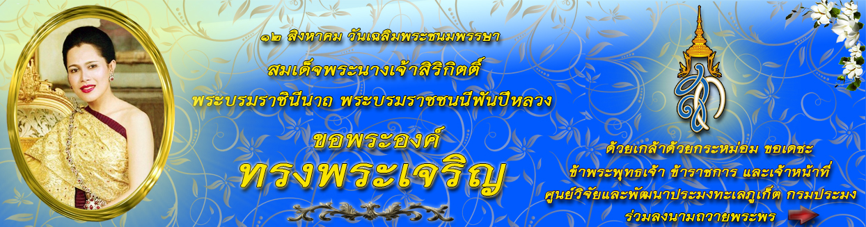 สไลด์โชว์2