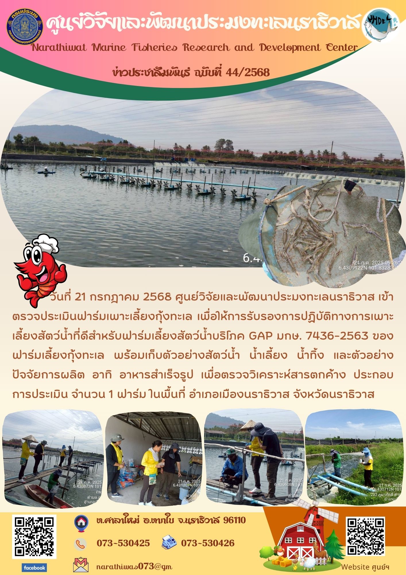วันที่ 21 กรกฎาคม 2568 ศูนย์วิจัยและพัฒนาประมงทะเลนราธิวาส เข้าตรวจประเมินฟาร์มเพาะเลี้ยงกุ้งทะเล เพื่อให้การรับรองการปฏิบัติทางการเพาะเลี้ยงสัตว์น้ำที่ดีสำหรับฟาร์มเลี้ยงสัตว์น้ำบริโภค GAP มกษ. 7436-2563 ของฟาร์มเลี้ยงกุ้งทะเล ฯลฯ..คลิก