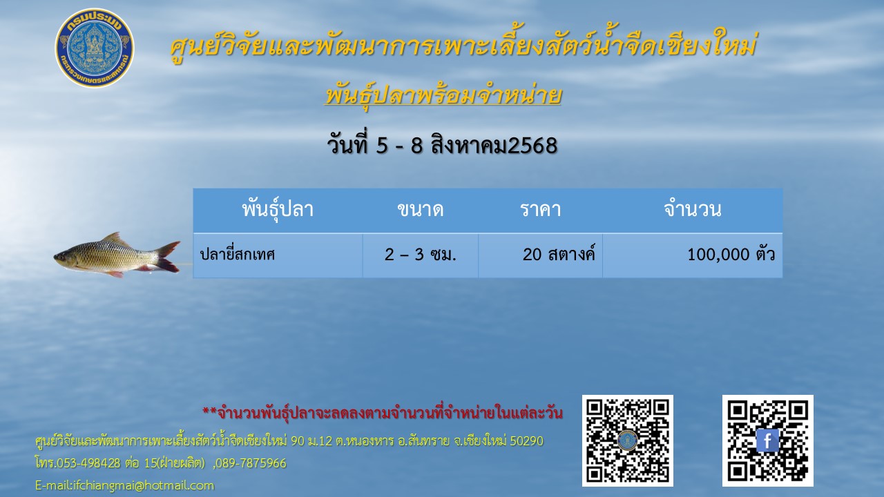 พันธุ์ปลาพร้อมจำหน่าย วันที่ 6-8 สิงหาคม 2568 