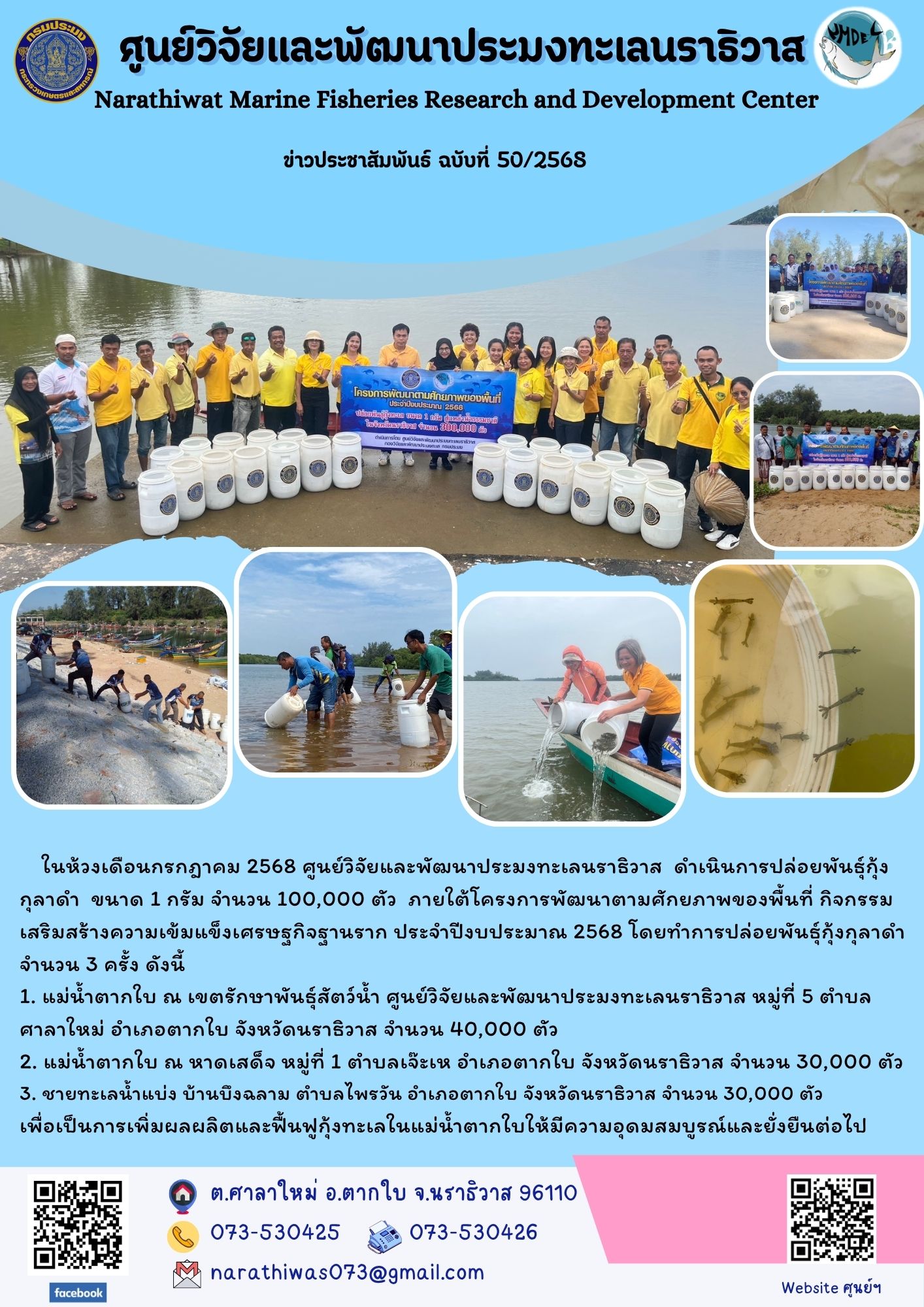 ศูนย์วิจัยและพัฒนาประมงทะเลนราธิวาส ดำเนินการปล่อยพันธุ์กุ้งกุลาดำ ขนาด 1 กรัม จำนวน 100,000 ตัว ภายใต้โครงการพัฒนาตามศักยภาพของพื้นที่ กิจกรรมเสริมสร้างความเข้มแข็งเศรษฐกิจฐานราก ประจำปีงบประมาณ 2568 