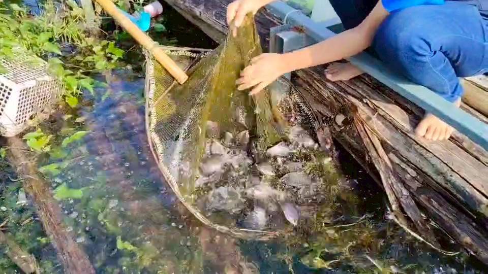 เสริมสร้างการมีส่วนร่วมของชุมชนประมง ขั้นตอนที่ 3 ปีงบประมาณ 2568