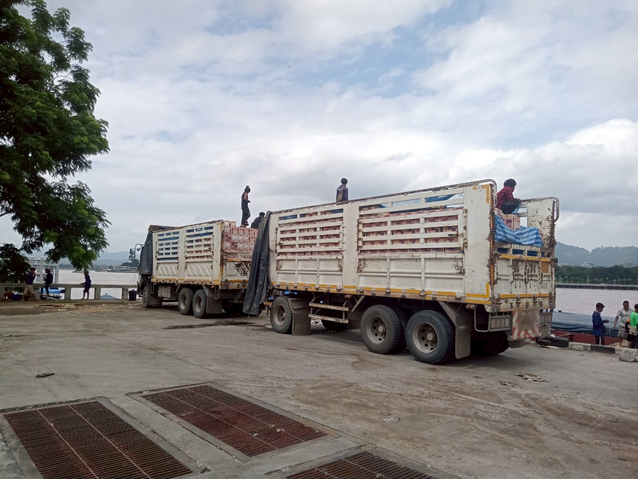 เจ้าหน้าที่ศูนย์บริหารจัดการด่านตรวจประมงเขต 1 (เชียงราย) ตรวจสอบสินค้าประมงส่งออกไปยังสาธารณรัฐประชาธิปไตยประชาชนลาว และสาธารณรัฐประชาชนจีน
