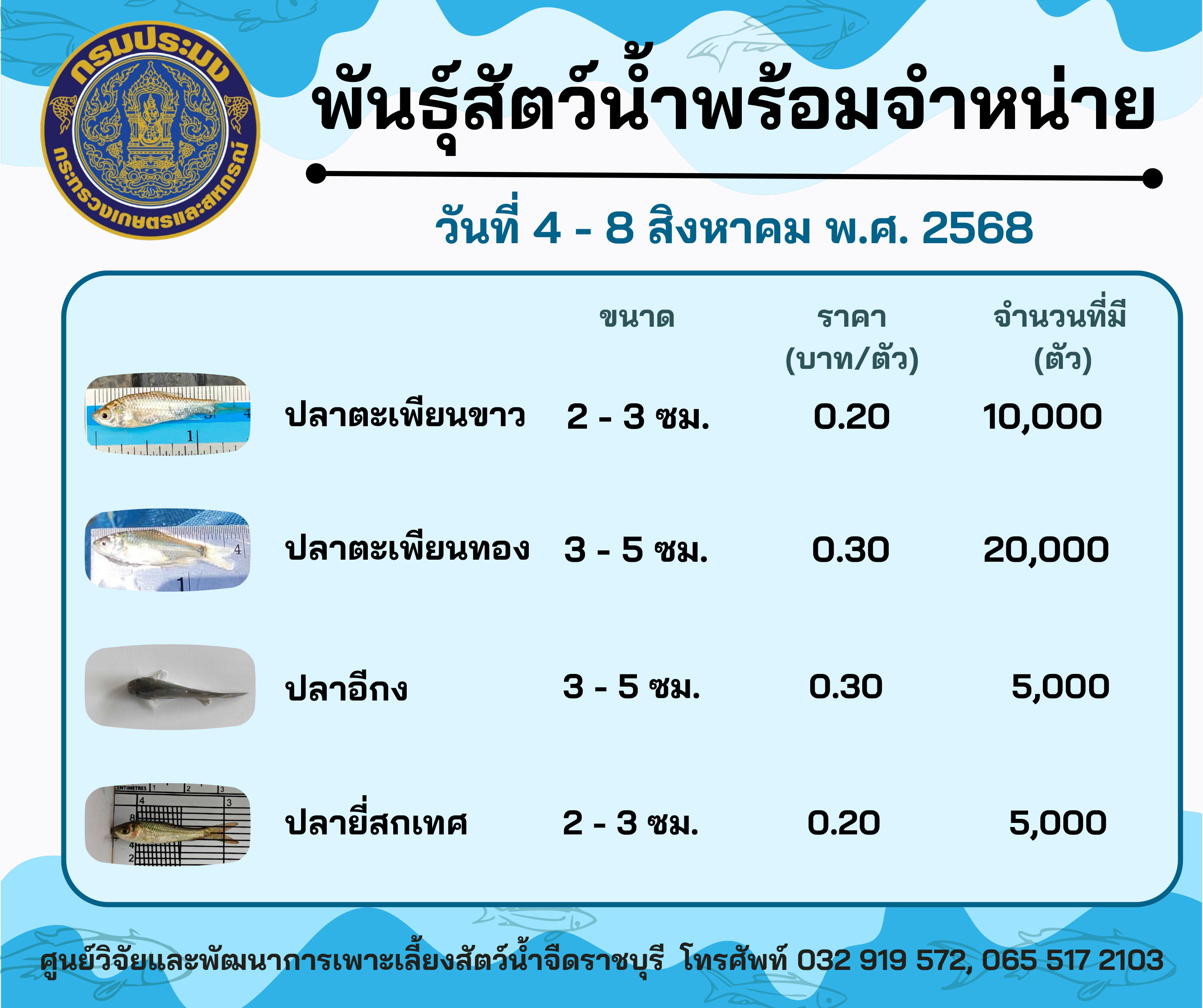 ลูกพันธุ์สัตว์น้ำพร้อมจำหน่ายสัปดาห์นี้ วันที่ 4 - 8 สิงหาคม พ.ศ. 2568