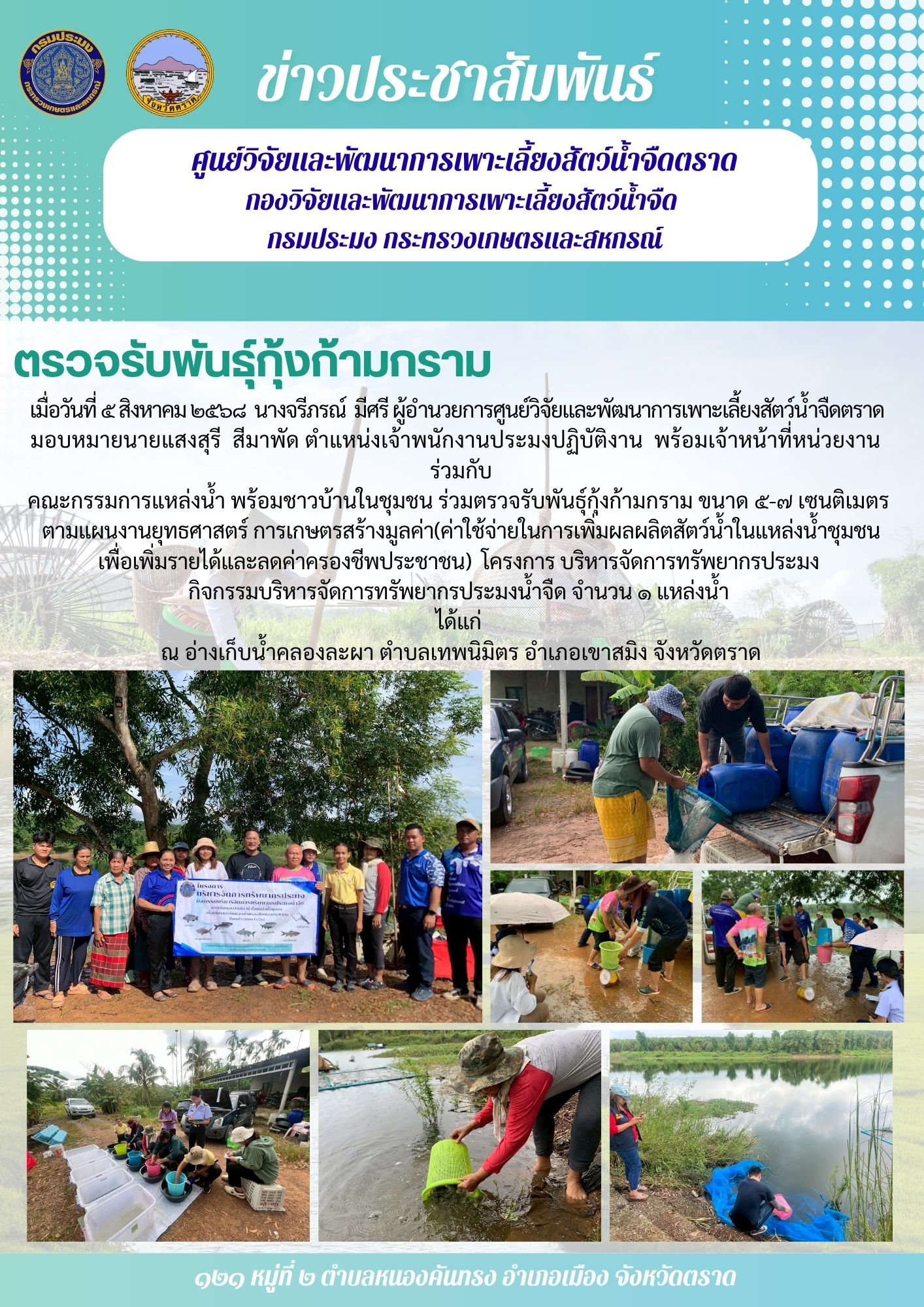 ???????ตรวจรับพันธุ์กุ้งก้ามกราม
