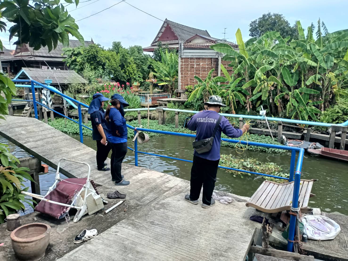 (อ.บางกรวย) การสำรวจปลาหมอคางดำ ตามแผนการแก้ไขปัญหาการแพร่ระบาดของปลาหมอคางดำจังหวัดนนทบุรี