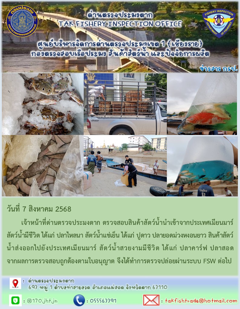 วันที่ 7 สิงหาคม 2568 	เจ้าหน้าที่ด่านตรวจประมงตาก ตรวจสอบสินค้าสัตว์น้ำนำเข้าจากประเทศเมียนมาร์ สัตว์น้ำมีชีวิต ได้แก่ ปลาไหลนา สัตว์น้ำแช่เย็น ได้แก่ ปูดาว ปลายอดม่วงหงอนยาว สินค้าสัตว์น้ำส่งออกไปยังประเทศเมียนมาร์ สัตว์น้ำสวยงามมีชีวิต ได้แก่ ปลาคาร์ฟ ปลาสอด จากผลการตรวจสอบถูกต้องตามใบอนุญาต จึงได้ทำการตรวจปล่อยผ่านระบบ FSW ต่อไป..คลิก