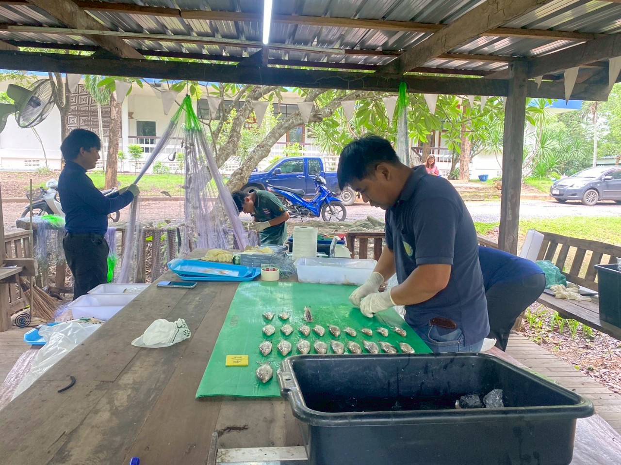 การออกปฏิบัติงานตามกิจกรรมสำรวจและรวบรวมข้อมูลสภาวะทรัพยากรสัตว์น้ำ (CPUE) ประจำปีงบประมาณ 2568 ครั้งที่ 3 ในพื้นที่รอบอ่างเก็บน้ำเขื่อนอุบลรัตน์ จังหวัดขอนแก่นและหนองบัวลำภู
