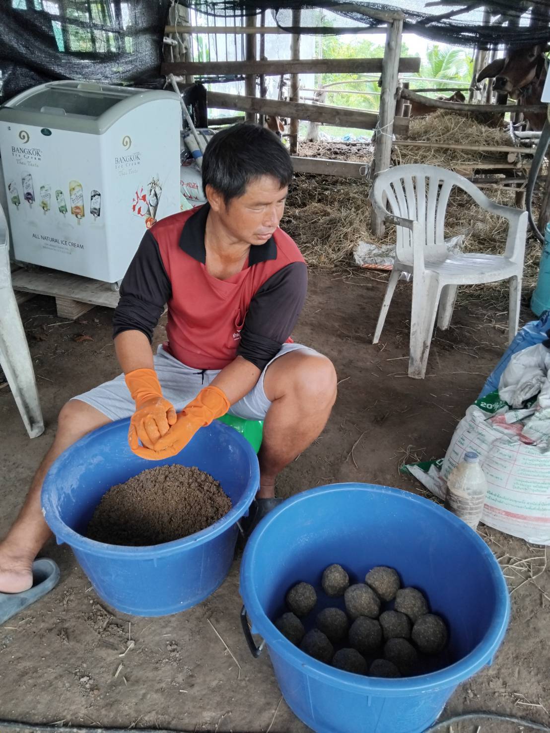 ติดตามให้คำแนะนำการทำอาหารปลาลดต้นทุน..คลิก