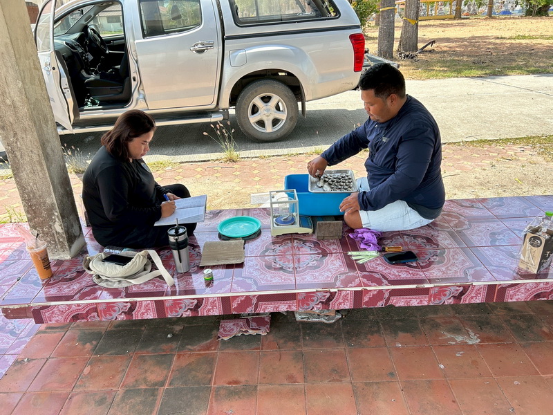 สำรวจการระบาดของปลาหมอคางดำ ใน