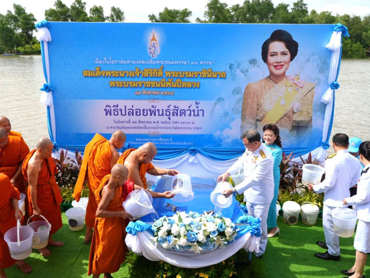 ผอ.ศพช.ฉะเชิงเทรา พร้อมด้วยข้าราชการ เข้าร่วมพิธีปล่อยพันธุ์สัตว์น้ำเฉลิมพระเกียรติสมเด็จพระนางเจ้าสิริกิติ์ พระบรมราชินีนาถ พระบรมราชชนนีพันปีหลวง เนื่องในโอกาสวันเฉลิมพระชนมพรรษา ๑๒ สิงหาคม ๒๕๖๘ ณ แม่น้ำบางปะกง (บริเวณวัดโสธรวรารามวรวิหาร) ตำบลหน้าเมือง อำเภอเมือง จังหวัดฉะเชิงเทรา..คลิก