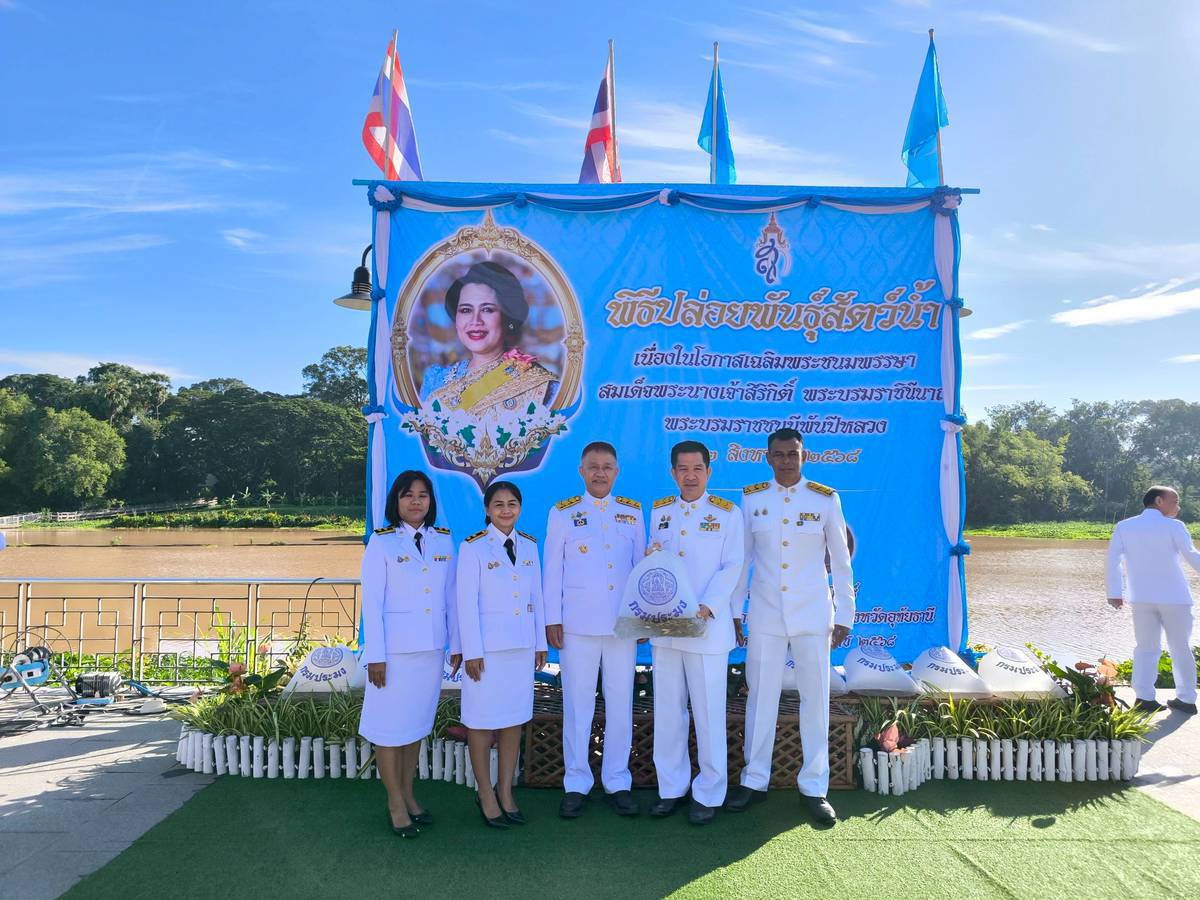 ในวันที่12 สิงหาคม 2568 นายสุชาติ  ผึ่งฉิมพลี ผู้อำนวยการศูนย์วิจัยและพัฒนาการเพาะเลี้ยงสัตว์น้ำจืดอุทัยธานี เข้าร่วมกิจกรรมเฉลิมพระเกียรติสมเด็จพระนางเจ้าสิริกิติ์ พระบรมราชินีนาถ พระบรมราชชนนีพันปีหลวง ดังนี้ พิธีเจริญพระพุทธมนต์และทำบุญตักบาตรถวายพระราชกุศล พิธีปล่อยพันธุ์สัตว์น้ำ พิธีถวายเครื่องราชสักกระและวางพานพุ่ม และพิธีจุดเทียนถวายพระพรชัยมงคล โดยมีผู้ว่าราชการจังหวัดอุทัยธานี (นายธีรพัฒน์  คัชมาตย์) เป็นประธานในพิธีดังกล่าว 