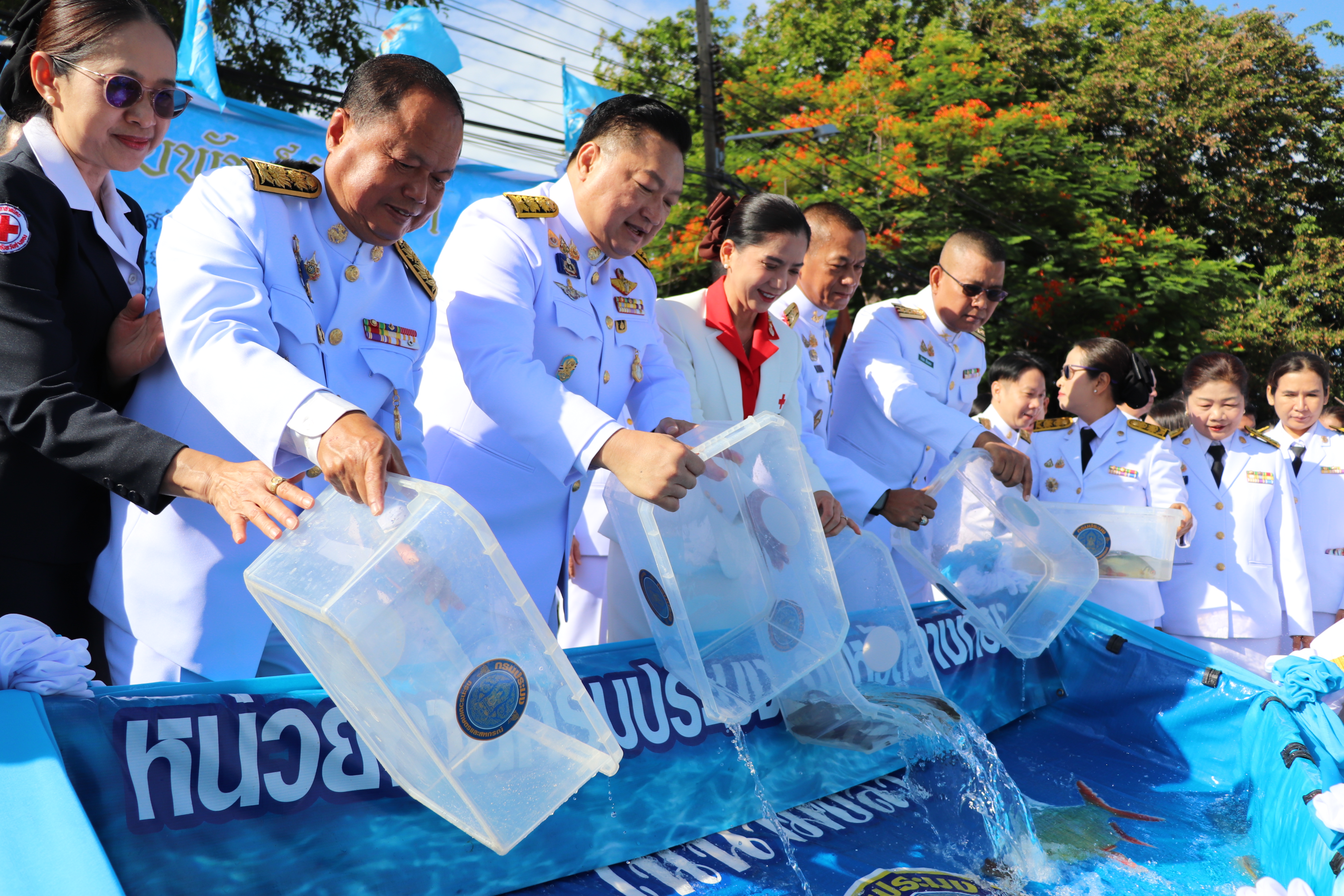 รูป ประกอบบทความ8