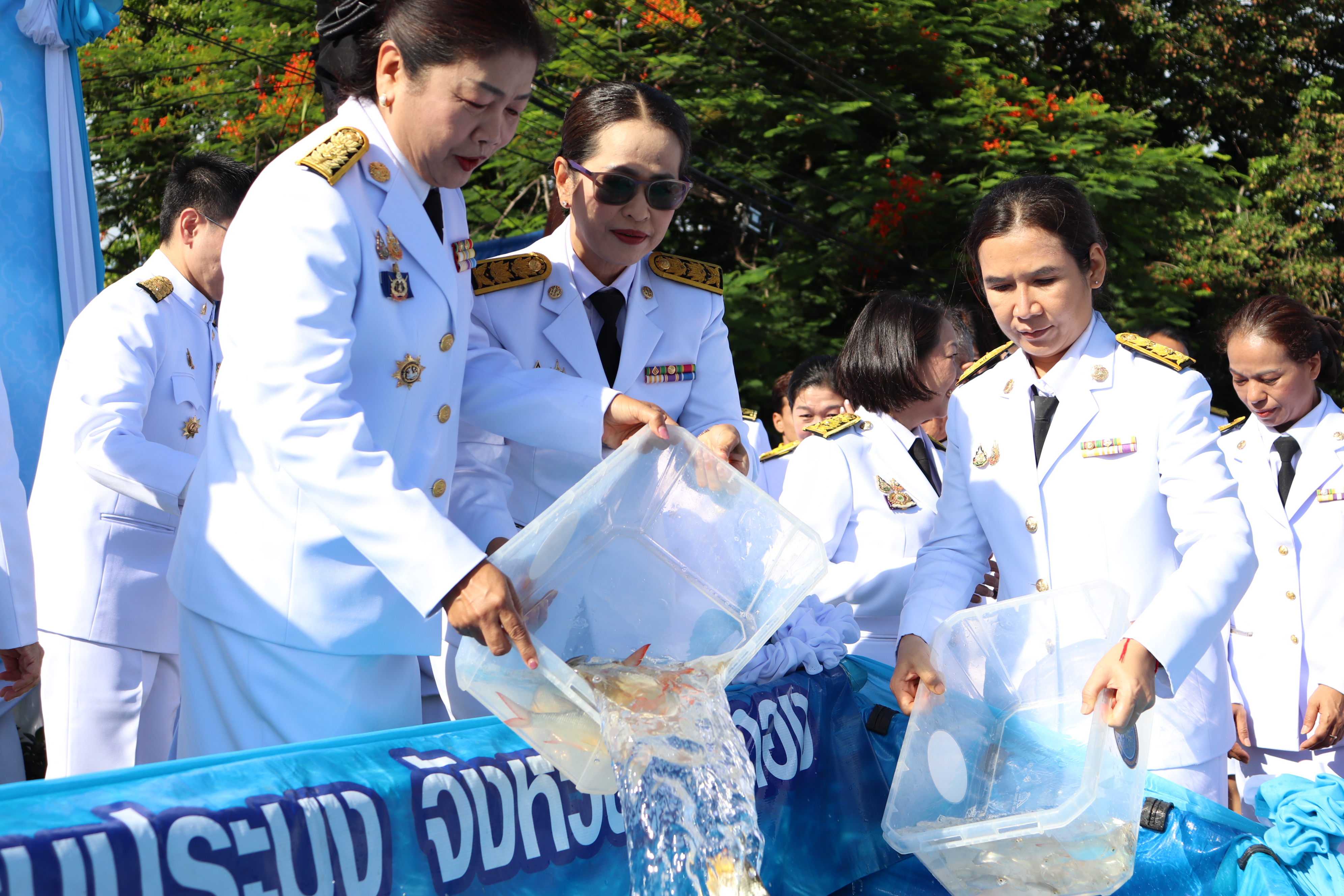 รูป ประกอบบทความ4