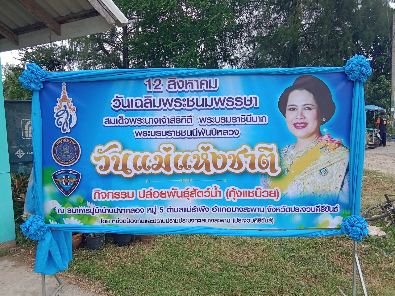 กิจกรรม ปล่อยพันธุ์สัตว์น้ำ (กุ้งแชบ๊วย)