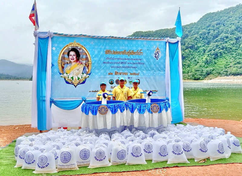 รูป ประกอบบทความ23